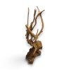 X0300071D%20%286%29